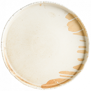 Solis Flat Plate 21 cm *